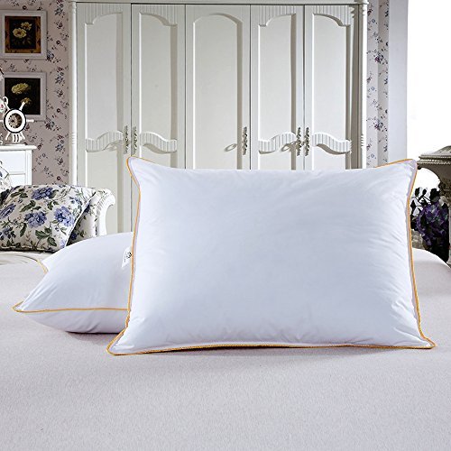 NEWLAKE Feather and Down Alternative White Bed Pillow, Standard Size, Set of 2 by NEWLAKE