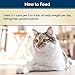 Blue Buffalo Healthy Gourmet Natural Adult Flaked Wet Cat Food Chicken 3-oz cans (Pack of 24)