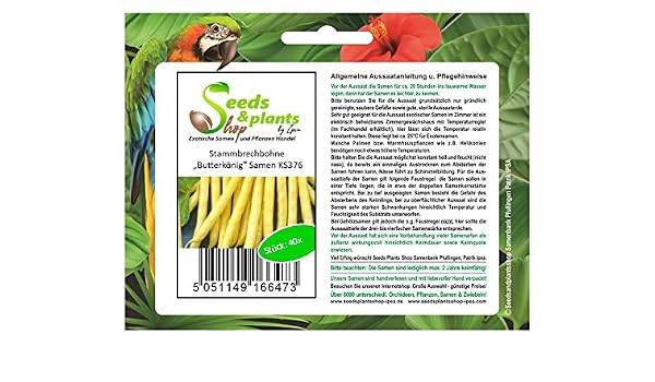 Stammbrechbohne Toys Butterkönig Ks376 - Juego de 50 semillas de ...