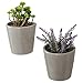 MyGift Set of 2 Wall-Mounted Gray Ceramic Sconce Flower Plant Vase, Succulent Planter Pots