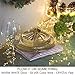 Bright Zeal 33' Long LED Warm White Christmas String Lights White Wire Battery Operated - Outdoor Warm White LED String Lights Battery Powered with Timer Silver Wire - Warm White Fairy Lights Battery