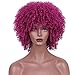 AISI HAIR Afro Curly Wig for Black Women Kinky Curly Hair Wig Glueless Synthetic Afro Wigs for Daily (Purple Color)…
