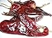 100 Chile Guajillo Salsa Hot Pepper Seeds