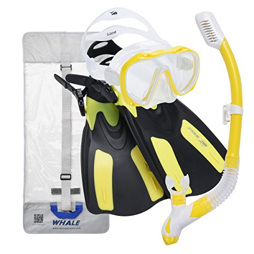 Whale Dive Mask Fin Size Adjustable Snorkel Set New Brand with Snorkeling Gear Bag for Both Men & Women Diving Gear