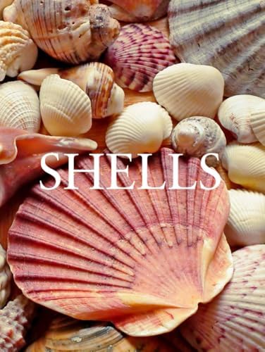Fascinating Shells: An Introduction to 121 of the World's Most