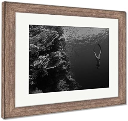 Ashley Framed Prints Freediver Descending Along The Vivid Reef Wall Red Sea Egypt, Wall Art Home Decoration, Black/White, 26x30 (frame size), Rustic Barn Wood Frame, AG4997002