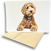 Fava Bean Productions Goldendoodle Card for All Occasions, Doodle Card Lying Down Pose (1 Premium Card, 5x7 inches, Blank Inside) Card with Dogs, Card with Golden Doodle, Goldendoodle Gifts - 383