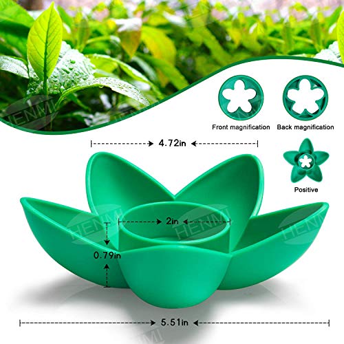 HENMI Avocado Planting Seed Germinator Bowl Avocado Tree Growing Kit Garden Gifts for Indoor Balcony Planting/Kitchen Garden Seed Starter Gift/Practical Gardening Gifts for Women