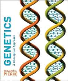 The Genetics Of Beauty: How Geography Shapes Asian Faces - h61d9y5