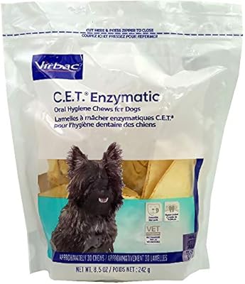 when can you feed puppies dog food