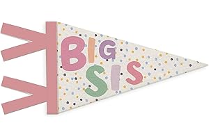 SJDFCSA Girl Nursery Decor, Big Sister Wall Hanging Pennant Flag Banner, Boho Colorful Spot Wall Decorations for Twins Baby Little Girls Room Bedroom Playroom Decor