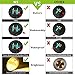 Solar Ground Lights (Upgraded) PATHONOR 4 LED 2 Pieces Warm White Ray Waterproof Solar Landscape Light Pathway Lights Yard lights Dark Sensing Auto On/Off Lawn Garden Patio Driveway Walkway Pool Area