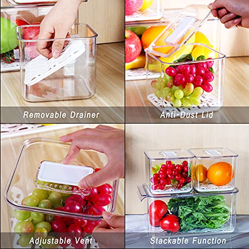REFSAVER Fridge Storage Containers Produce Saver Stackable Refrigerator