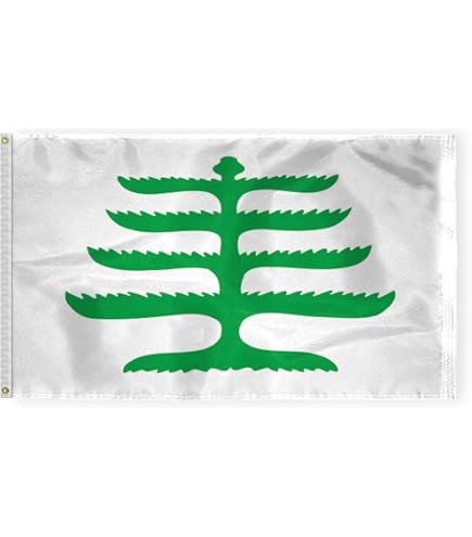Bandera Vikinga Odin Y Cuervo 3x2 Pies | Diseño Rojo Y Negro En Poliéster | Decoración Nórdica