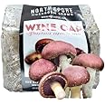 North Spore Organic Wine Cap Mushroom Sawdust Spawn
