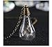 bestwishes2u Dried Dandelion Seed Glass Locket Pendant Necklace with 26