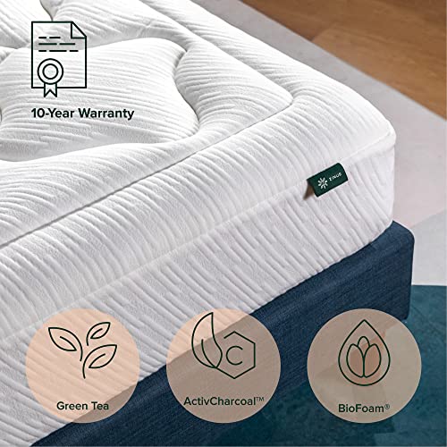 ZINUS 10 Inch Cloud Memory Foam Mattress / Pressure Relieving / Bedin