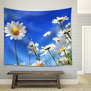 Summer Field with White Daisies on Blue Sky - Fabric Wall Tapestry Home Decor - 51x60 inches