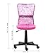 EuroStile Adjustable Kids Desk Chair Mid-Back Ergonomic Mesh Swivel Computer Office Desk Task Chair 8007FL