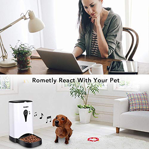 gasky automatic pet feeder
