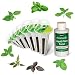 AeroGarden International Basil Seed Kit (7 pod)