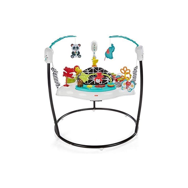 Fisher-Price Baby Bouncer Animal Wonders Jumperoo Activity Center With Music Lights Sounds And Developmental Toys