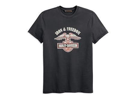 Harley Davidson T-Shirt Iron & Freedom