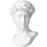 Norrclp 11in Greek Statue of David, Classic Roman Head Bust | Greek Mythology Sculpture for Home Decor Office Bookshelf Desktop Decor