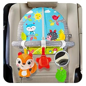 Car Seat Toys For Babies – Double Sided Rear Facing Carseat Toy With Baby Mirror For Infants Girls And Boys 0+ Month by…