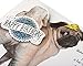 American Greetings Birthday Card for Kids (Doug the Pug)