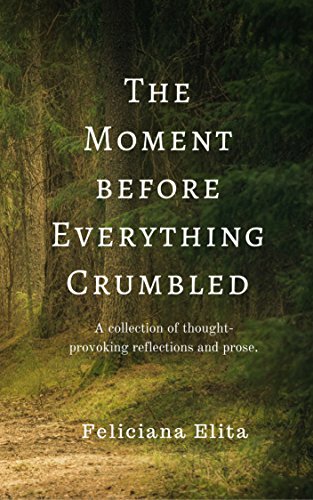The Moment before Everything Crumbled: A collection of short prose