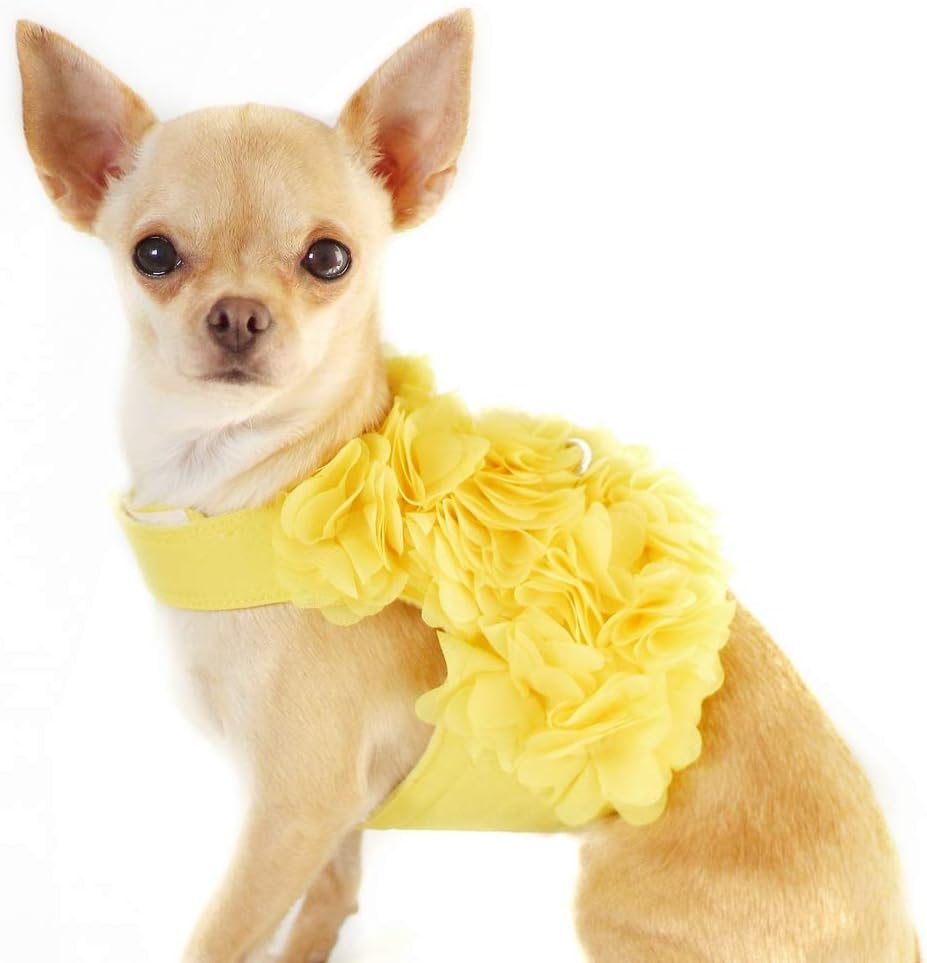 teacup chihuahua harness