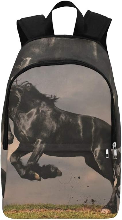 Fresion backpack Clearance