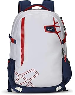 skybags beatle pro