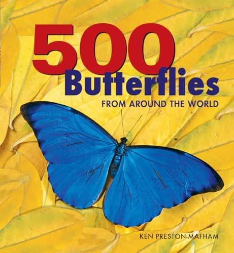 The 100 Most Beautiful Butterflies in the World: A minimalist