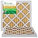 Filterbuy 14x18x1 Air Filter MERV 11 (MPR 1200) Allergen Defense Replacement (2-Pack), Electrostatic Pleated HVAC AC Furnace Filters, Made in USA (Actual Size: 13.50 x 17.50 x 0.75)