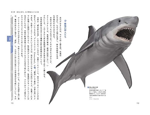 海洋生命５億年史 サメ帝国の逆襲 健 土屋 源吾 田中 武照 冨田 卓哉 小西 嘉寛 田中 本 通販 Amazon