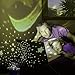 Star Light Projector, star light lamp, Night Lighting Lamp [4 LED Beads, 3 Model Light, USB Cord ] Toullfly colorful Night light, Romantic Rotating Starry Sky Projector for Kids Baby Bedroom (Purple)