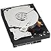 WD RE4 500 GB Enterprise Hard Drive, 3.5 Inch, 7200 RPM, SATA II, 64 MB Cache (WD5003ABYX) (Old Model)