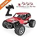 RC Car for Kids, 1:18 Remote Control Car Electric Racing Car Off Road, High-Speed Off Road Desert Buggy Vehicle 2.4Ghz 2WD Electric Racing Car