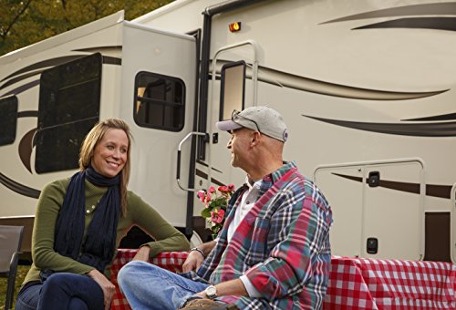 Lippert 236575 RV In-Wall Slide-Out Motor