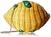 Betsey Johnson Don't Be Tarty Yellow Straw Lemon Crossbody
