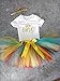 AISHIONY Baby Girl One Year Birthday Rainbow Tutu Onesie Newborn Outfit 3PCs L,crown 1,9-12 Months