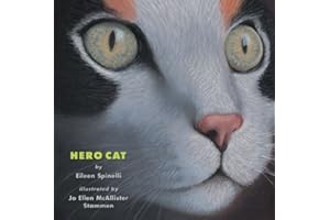 Hero Cat