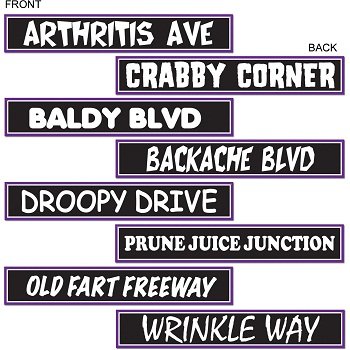 Beistle S54313AZ3 Over The Over The Hill Street Sign Cutouts 4" x 24" (Black/White/Purple), Pack of 12