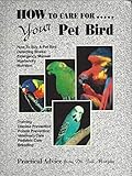 How To Care For Your Pet Bird by