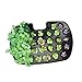AeroGarden 800293-0100 Seed Starting System Classic Harvest Elite, 31-Pod, Black