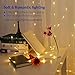 Homestarry 300 LEDs Window Battery Operated Curtain Fairy, String Remote, Twinkle Lights, Warm White,6.3 ft x 10 ft for Party, Wedding, Patio,Wall D¨¦cor Christmas,Indoor and Outdoor ¡­