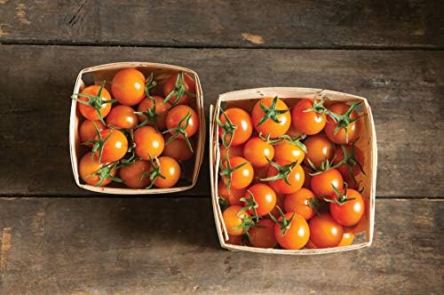 David's Garden Seeds Tomato Cherry Sun Gold