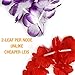 Luau Party Supplies 40 Hawaiian Leis Party Favors Leis Flowers Luau Decorations by NimNik